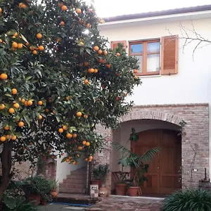 https://larancio-antico.in-sardinia.net